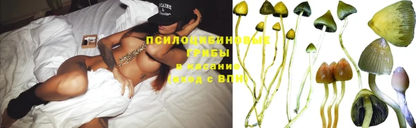 винт Алексин