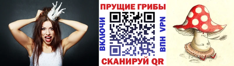 Псилоцибиновые грибы Magic Shrooms  купить  сайты  Апшеронск 